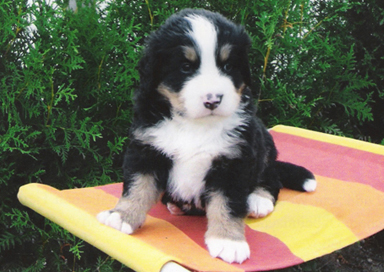 Keytanos 5 weeks