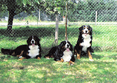 Keytanos family