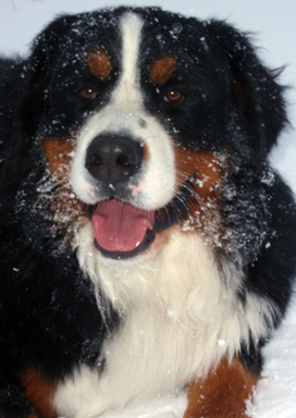 Keytanos 10 Months