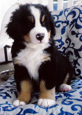 Keytano 7 weeks