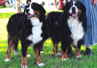 Keytanos sire