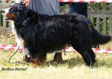 Keytanos Sire