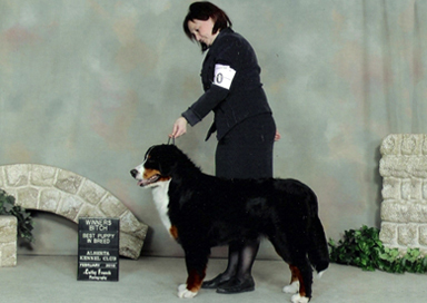 Wilma Calgary Best in Show