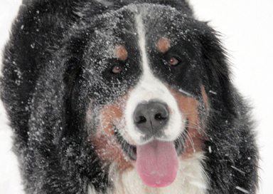 Wilma 1.5 Years