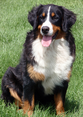 Wilma 1 year of age
