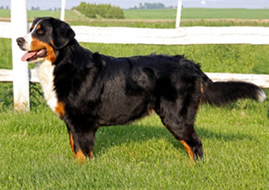 Wilmas 2 Years Old
