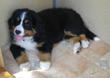 Wilma 8 weeks