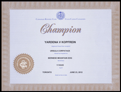 Champion