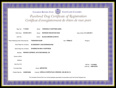 Registration